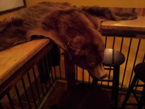 bearskin